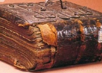 Вы никогда не догадаетесь, из чего сделаны эти вещи