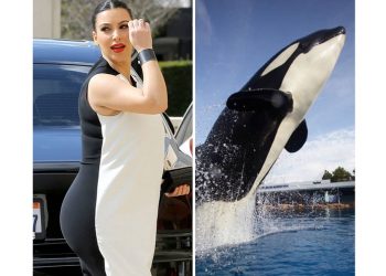 30 самых смешных фейлов