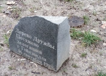 Прикольные фото, которые порадуют всех (40 cнимков)