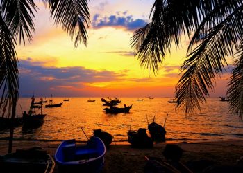 Все самые интересные места на Гоа, 25 фото