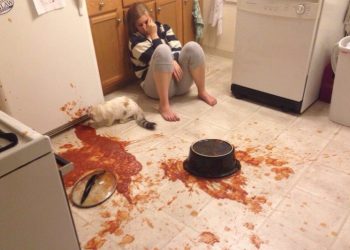 Самый плохой день: 50 угарных фото людей, которым сегодня очень не повезло