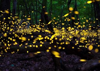 Самые захватывающие природные явления на Земле