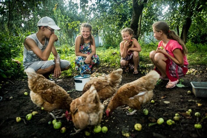 Каникулы в деревне у бабушки: 40 душевных фотографий