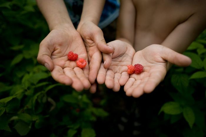 Каникулы в деревне у бабушки: 40 душевных фотографий