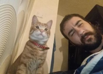 30 людей, которые думали, что не имеют кота, но вот же он!