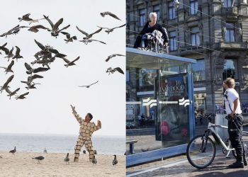 50 нелепых снимков, которые сложно объяснить