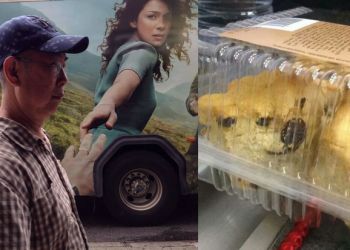 Забавные снимки, которые на время введут вас в замешательство