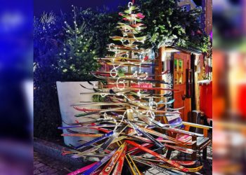 Самые нестандартные идеи оформления новогодних елок