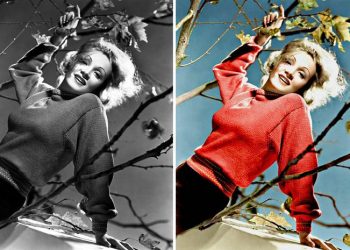 Раскрашенные чёрно-белые фото, за которыми – яркая история