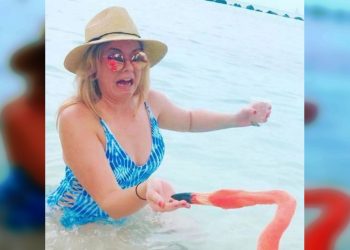 Люди, у которых отпуск не задался с первого же дня, 30 фото