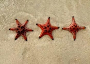 30 снимков о том, как устроен мир вокруг нас