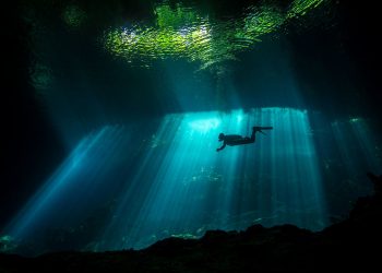 Удивительный подводный мир в 30 кадрах