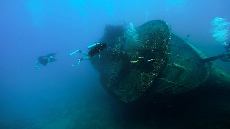 Удивительный подводный мир в 30 кадрах