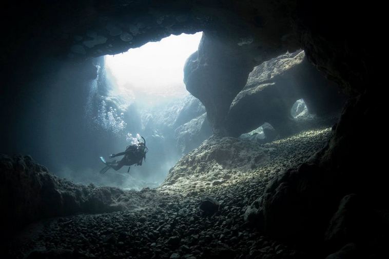 Удивительный подводный мир в 30 кадрах
