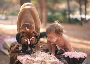 Дети и животные – с ними не заскучаешь