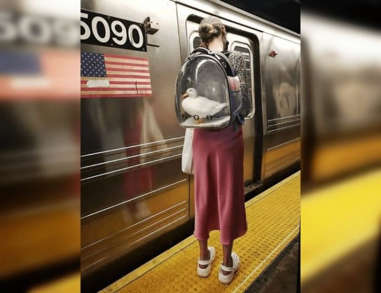 30 чудаковатых женщин, посетивших метро