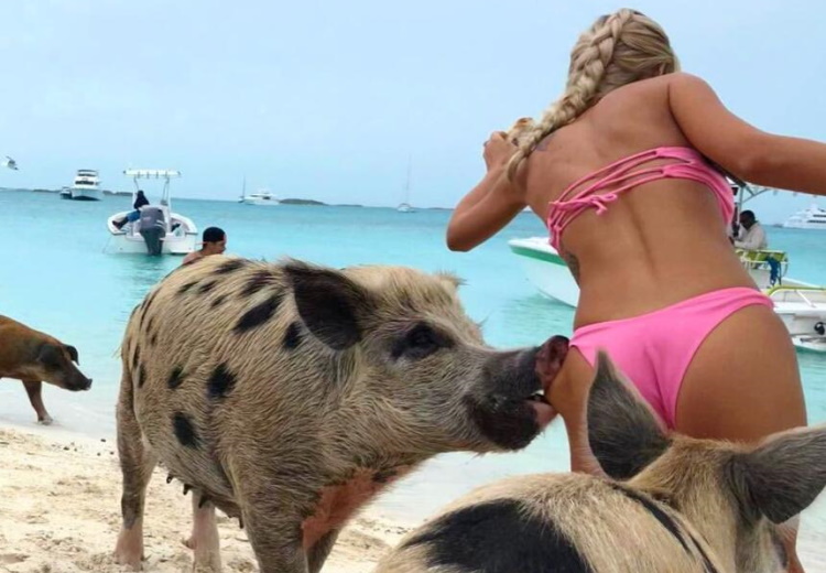 A Funny Vacation: 25 Hilarious Beach Photos