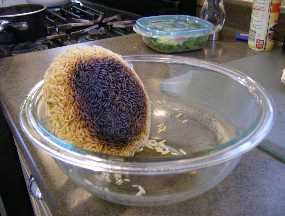 Kitchen Catastrophes: Hilarious Cooking Gone Wrong