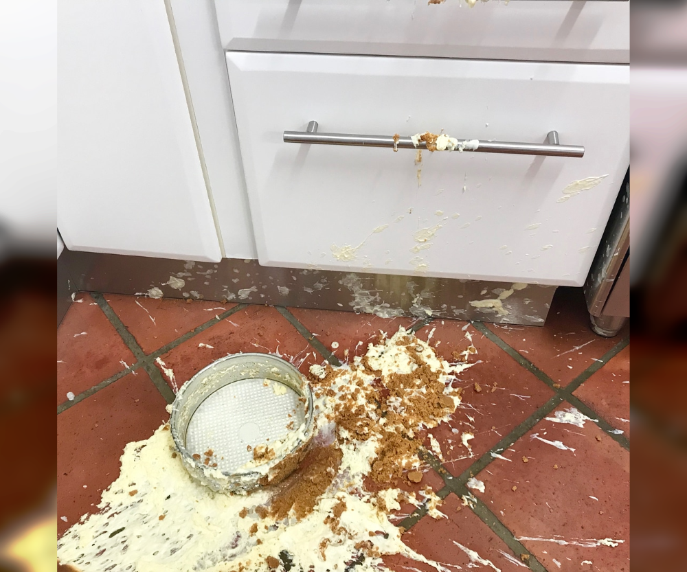 Kitchen Catastrophes: Hilarious Cooking Gone Wrong