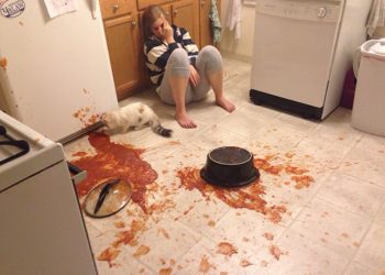 Kitchen Catastrophes: Hilarious Cooking Gone Wrong