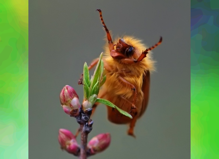 In Sync with Nature: Perfectly Timed Animal Photography