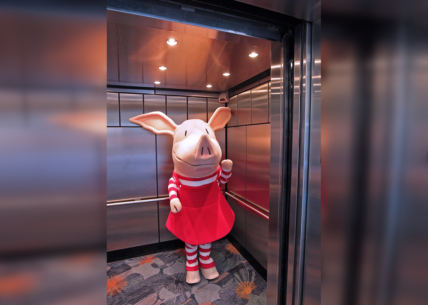 Between Floors, Between Laughs: Elevator Oddities